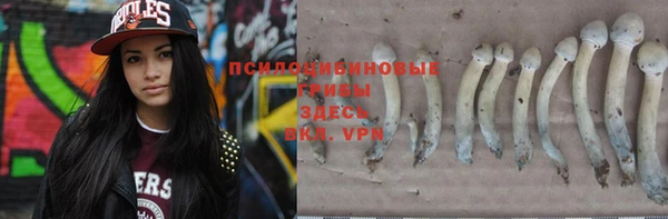 скорость Белокуриха